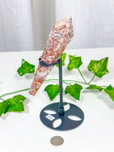 Load image into Gallery viewer, Crazy Lace Agate Wand on Stand (28C)