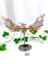 Load image into Gallery viewer, Ocean Jasper Dragon Wings on Stand (40G)