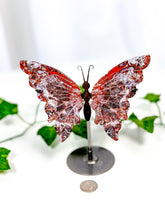 Load image into Gallery viewer, Mexican Crazy Lace Agate Butterfly on Stand (42B)