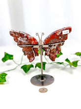 Load image into Gallery viewer, Mexican Crazy Lace Agate Butterfly on Stand (42B)