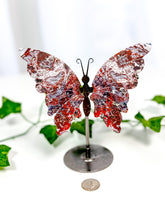 Load image into Gallery viewer, Mexican Crazy Lace Agate Butterfly on Stand (42D)