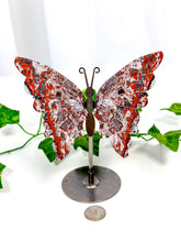 Load image into Gallery viewer, Mexican Crazy Lace Agate Butterfly on Stand (42A)