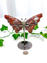 Load image into Gallery viewer, Mexican Crazy Lace Agate Butterfly on Stand (42A)