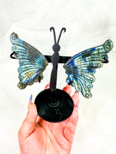 Load image into Gallery viewer, Labradorite Butterfly Wings on Stand (40V)