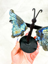 Load image into Gallery viewer, Labradorite Butterfly Wings on Stand (40V)