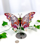 Load image into Gallery viewer, Mexican Crazy Lace Agate Butterfly on Stand (42C)