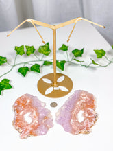 Load image into Gallery viewer, Pink Amethyst Butterfly Wings on Stand (242)
