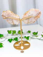 Load image into Gallery viewer, Pink Amethyst Butterfly Wings on Stand (110B)