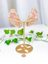 Load image into Gallery viewer, Pink Amethyst Butterfly Wings on Stand (72A)