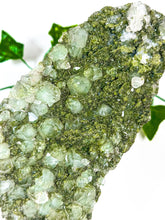 Load image into Gallery viewer, Fairy Forest Quartz w/ Epidote (228V)
