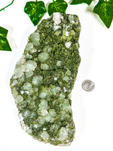 Load image into Gallery viewer, Fairy Forest Quartz w/ Epidote (228V)