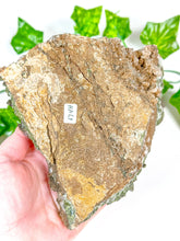 Load image into Gallery viewer, Fairy Forest Quartz w/ Epidote (174H)