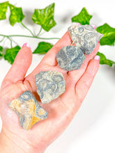 Load image into Gallery viewer, Raw Kambaba Jasper Rough Stone