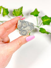 Load image into Gallery viewer, Raw Kambaba Jasper Rough Stone