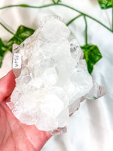 Load image into Gallery viewer, Clear Apophyllite Cluster #1 (AAA)