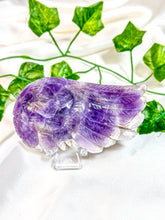 Load image into Gallery viewer, Chevron Amethyst Angel Wing (55J)