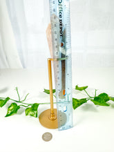 Load image into Gallery viewer, Carnelian Wand on Stand (56C)