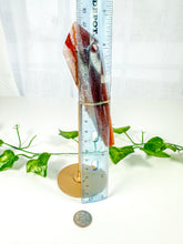 Load image into Gallery viewer, Carnelian Wand on Stand (48C)