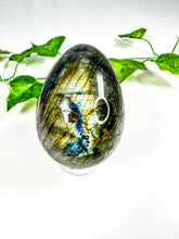 Load image into Gallery viewer, Labradorite Egg (56o)