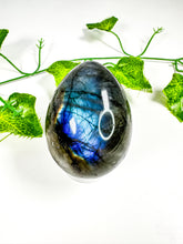 Load image into Gallery viewer, Labradorite Egg (29A)