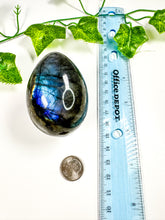 Load image into Gallery viewer, Labradorite Egg (29A)
