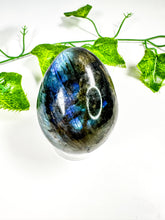 Load image into Gallery viewer, Labradorite Egg (28H)