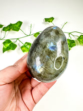 Load image into Gallery viewer, Labradorite Egg (28i)