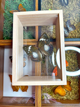Load image into Gallery viewer, Frame Butterfly Shadow Box (32C)