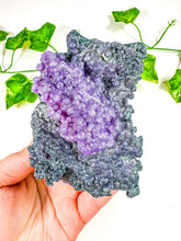 Load image into Gallery viewer, Grape Agate Cluster (46B)