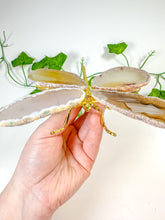 Load image into Gallery viewer, Natural Agate Dragonfly (29G)