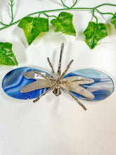 Load image into Gallery viewer, Dyed Agate Dragonfly (25F)