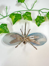 Load image into Gallery viewer, Dyed Agate Dragonfly (25E)