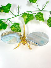 Load image into Gallery viewer, Dyed Agate Dragonfly (25C)