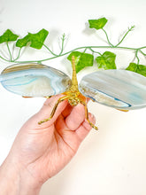 Load image into Gallery viewer, Dyed Agate Dragonfly (25C)