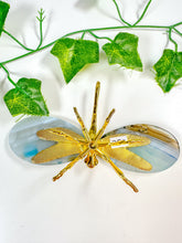 Load image into Gallery viewer, Dyed Agate Dragonfly (25C)