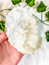 Load image into Gallery viewer, Clear Stilbite & Green Apophyllite on Okenite Mineral Specimen (P)