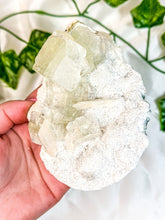 Load image into Gallery viewer, Clear Stilbite & Green Apophyllite on Okenite Mineral Specimen (P)