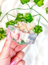 Load image into Gallery viewer, Stilbite Mica Mineral Specimen on Display (34A)