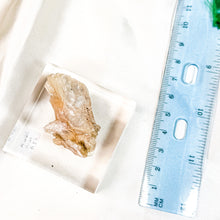 Load image into Gallery viewer, Stilbite Mica Mineral Specimen on Display (34A)