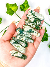 Load image into Gallery viewer, Mini Tree Agate DT (HD)