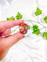 Load image into Gallery viewer, Mini Mexican Crazy Lace Agate Skull