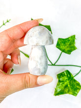 Load image into Gallery viewer, Agate Mushroom