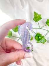 Load image into Gallery viewer, Fluorite Seahorse