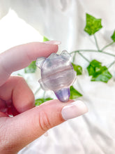 Load image into Gallery viewer, Fluorite Turtle