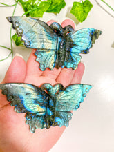 Load image into Gallery viewer, Labradorite Butterfly