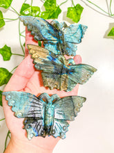 Load image into Gallery viewer, Labradorite Butterfly