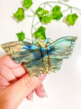 Load image into Gallery viewer, Labradorite Butterfly
