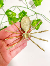 Load image into Gallery viewer, Tiger's Eye Spider