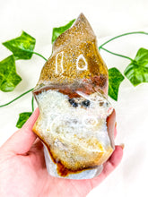 Load image into Gallery viewer, Ocean Jasper Flame #5