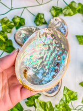 Load image into Gallery viewer, Abalone Shells